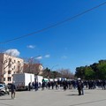 Commercio ambulante, Ass. Troia: "Malsano speculare politicamente sulla disperazione dei cittadini "