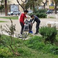 Cittadini consapevoli ripuliscono piazza SS. Trinità