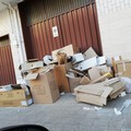 Raccolta differenziata: sale in Puglia la raccolta della carta. I dati per provincia