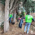 Azione di cleanup al “nuovo” bosco urbano di Andria