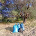 Ancora un furto sventato da parte delle Guardie Campestri in contrada Monte Giannelli