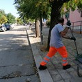 Raccolta rifiuti: il 1° maggio solo utenze non domestiche e zona Castel del Monte