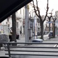 Ancora abbandono di rifiuti ingombranti in via Annunziata: a quando le telecamere?