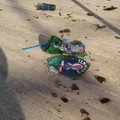 Degrado ed inciviltà, non è sempre colpa degli altri...