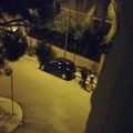 Ragazza picchiata ad Andria, l'indignazione di D'Ambrosio: «Immagini che fanno molto male»