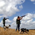 Caccia e difesa dell'ambiente:  "Aumentare le zone nell'agro di Andria per il ripopolamento della lepre "