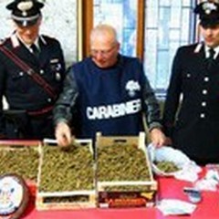 Base logistica in un monolocale: 5 arresti e 3 chili di droga