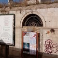 Nuovi avvistamenti di topi tra pendio S. Lorenzo, via Marco Polo e zona Camaggio