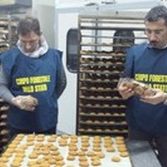  "Natale a tavola 2014 ": sequestrate 60 tonnellate di prodotti