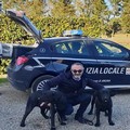 La Polizia Locale si dota di due cani antidroga