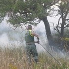 Ancora una vasto incendio nel territorio del Parco: colpita contrada Stricchio