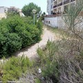 Insorge il cdx di Andria: «Erbacce in città ed ecosostenibilità: dal sindaco Bruno  "lezione " discutibile ed imbarazzante”»