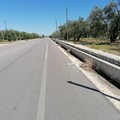 Provincia: previsti oltre due milioni di euro per la Bisceglie-Andria e la Bisceglie-Corato