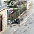 Via Eritrea: "Da sei anni dimenticati da tutti, anche dal servizio di raccolta rifiuti "