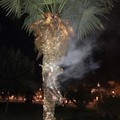 Gioca con l'accendino e incendia una palma in villa comunale