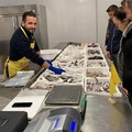 Torna l'ora solare? Ecco il menù salva sonno a base di pesce azzurro per combattere l'insonnia