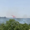 Incendi boschivi, Montepulciano:  "Crimine contro l'umanità "