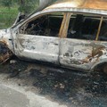 Auto cannibalizzate e incendiate rinvenute dai Federiciani. LE FOTO