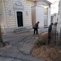 Cimitero, Azione con Calenda:  "Rivedere la proposta di delibera consiliare "