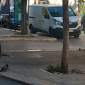Desolante conferma: via Annunziata cosparsa di buste di immondizia