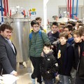 A scuola d'impresa: studenti dell'Umberto I in visita ad un'azienda coratina