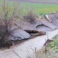 Maltempo, Coldiretti: "Campi allagati e smottamenti sulla Murgia "