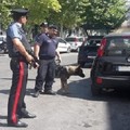 Attentato al carabiniere di Andria, la solidarietà del consiglio regionale