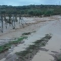 Maltempo, Coldiretti Puglia:  "Aumenta la stima dei danni. Il 78% Comuni a rischio idrogeologico "