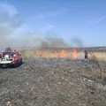 Ancora incendi sulla nostra Murgia: oltre 300 ettari vanno in fumo tra Minervino murge ed Andria