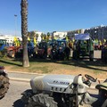 CIA Puglia e gli arresti in Puglia:  "Non criminalizziamo gli agricoltori "