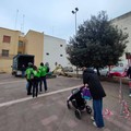 Altri due alberi piantati ad Andria grazie a 3Place