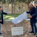Un albero e una targa per la Shoah: Andria affida la Memoria alle radici