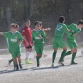 Nuova Andria Calcio, vittorie convincenti per Allievi e Giovanissimi