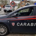 Furto di fitofarmaci la notte scorsa ad Andria: indagano i Carabinieri