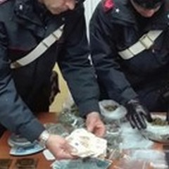 Hashish e marijuana in casa: arrestati madre e figlio andriesi