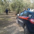 Ladro di olive arrestato in contrada  "San Francesco "