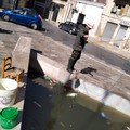 Ad Andria il pescatore di rifiuti in Piazza Catuma