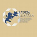 Andria R.E.S.P.I.R.A., entra nel vivo il percorso di progettazione urbana