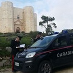 Rubavano pali dei cartelli stradali per costruire un gazebo: tre incensurati in manette