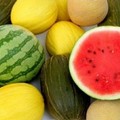 Alte temperature: idratarsi e anche abbronzarsi con la frutta come albicocche, cocomeri e meloni