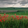 Il comune di Andria aderisce al protocollo per la valorizzazione del patrimonio naturalistico
