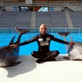 Dal pianoforte ai delfini, Simone Arrigoni incontra gli studenti e il Rotary di Andria