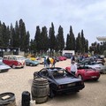 Tra storia e motori, grande successo per il Raduno di Primavera: tappa tra Andria e Castel del Monte