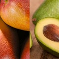 Caldo: crescono produzioni e consumi di frutti tropicali