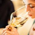 La Puglia del vino punta sulle aggregazioni di produttori