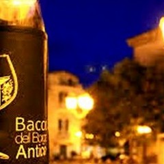 Bacco nel Borgo Antico... di Corato