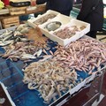 Sequestrati 231 Kg di prodotti ittici, sanzioni a  pescherie di Andria