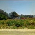 Le Guardie ecozoofile di FareAmbiente intervengono su principio d'incendio nella periferia di Andria