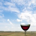 La Puglia del vino in vetrina in Germania: martedì spazio al Nero di Troia Castel del Monte