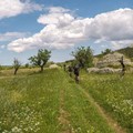 Turismo: Castel del Monte, Parco dell'alta Murgia e via Traiana tra le proposte di Legambiente e Touring Club Italiano